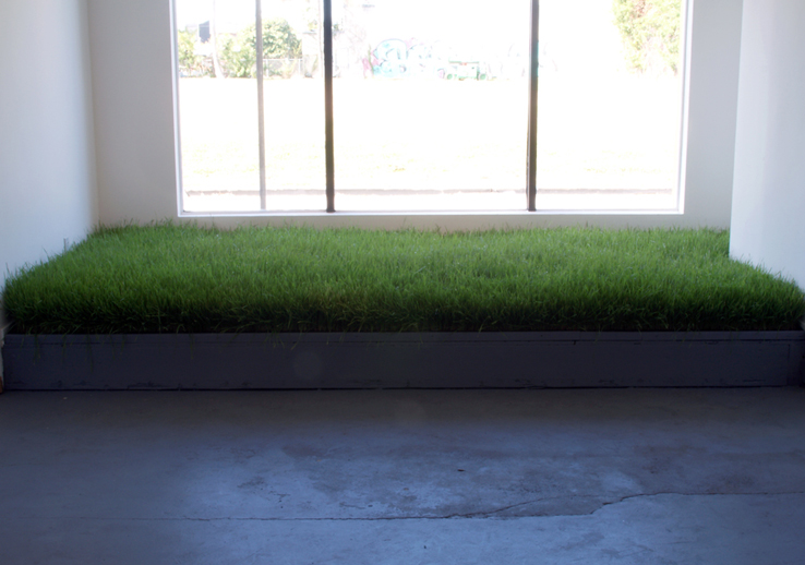 small-wheat-grass.jpg